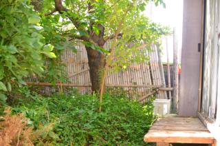 埼玉新座ハウス - 6