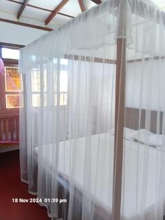 Peacock Holiday Mirissa - 1