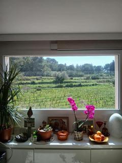 Bienvenue au Paradis Pradet - 8