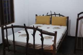 rainforest river song - 7