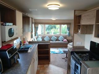 Beautiful van, beaches, accessible pet friendly - 8