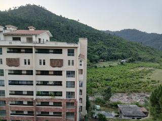 Peaceful home in the middle of lush green mountains - 4