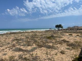 La Mata 7 Sea View, Pool, 100m Beach - 3