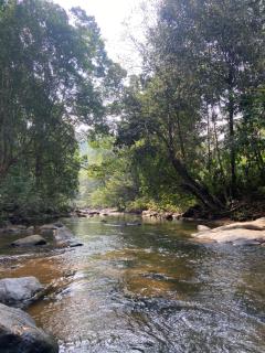 Mountain Bliss - Ingiriya - 5