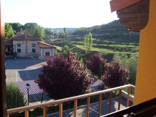 Hotel Milagros Rio Riaza - 9