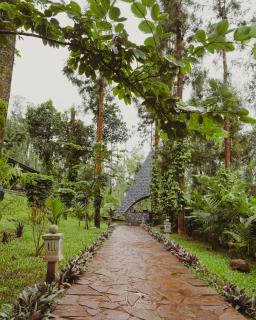 The Wild Rest Nature Resort - 9