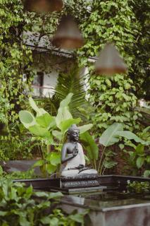 The Wild Rest Nature Resort - 8