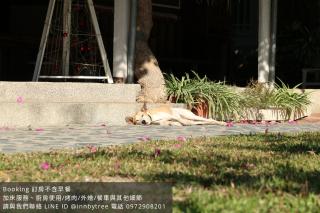 嘉義竹崎白樹腳驛棧萬坪生態包棟烤肉親子民宿 - 8