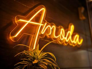 Amoda - Best Hotel in Dharamshala - 5