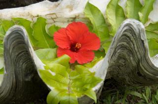 The Pointe Taveuni - 4
