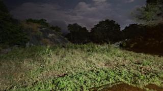 Virasat Villa - 1