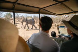 Chobe Water Villas - 1
