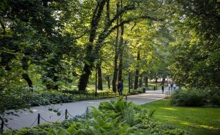 Spacious 2BR Apartment in Vika, Central Oslo - 7