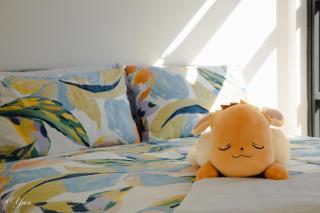 Trainer's Cozy Home - Town of Beginnings マサラタウンのトレーナーのおうち - 2