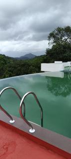 Western Ghats Tropical garden - 5