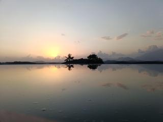 Western Ghats Tropical garden - 2