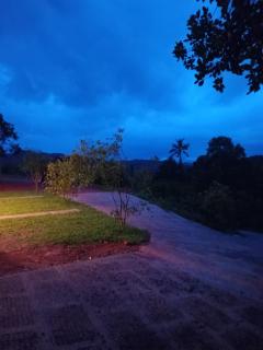 Western Ghats Tropical garden - 1