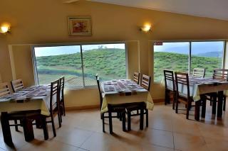 Oak Ray Misty Hills - 3