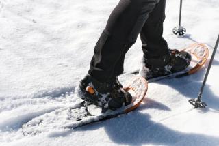 SeeHotel & SeeApartments Kärntnerhof- direkt am See! - 4