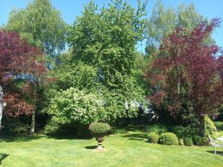 La Fontaine d'Inville - 7