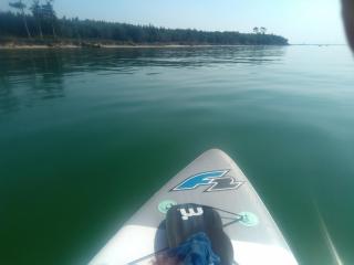 outerbanks cut - 5
