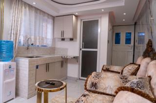 Modern Bedsitter in a Quiet Neighborhood - 4