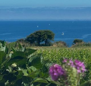 Luxury villa on the sea in Brittany - 3