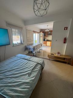 Cat House Caparica - 3