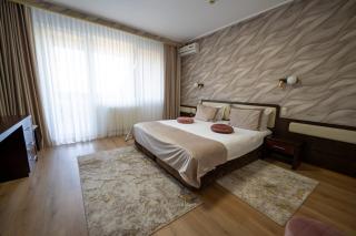 Complex Turistic Darina Sancraiu de Mures - 1