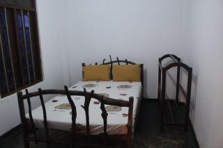 rainforest river song - 5