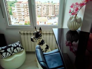 Casa Babu - 5