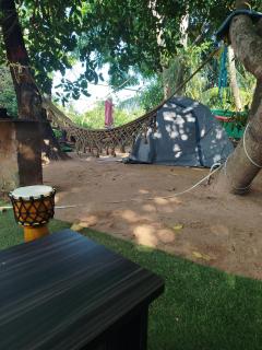 Sanchari hostel - 8