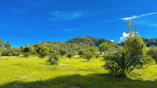 Ao Nang Escapes Tropical Villas & Studios - 2