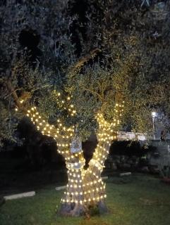 Casale Lupis - 3