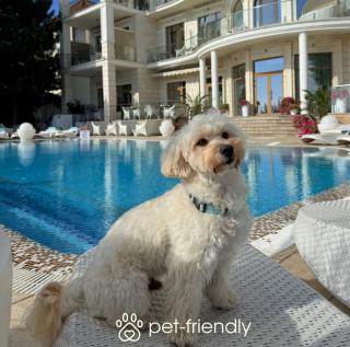 Hotel Panorama De Luxe - 4