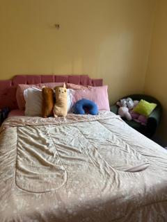 Casa Confort Belém - 4