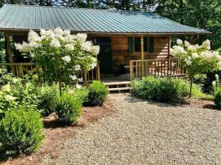 The Spotted Owl - 9