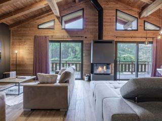 Magnifique chalet proche centre avec jardin, parking et Wi-Fi - FR-1-754-95 - 2