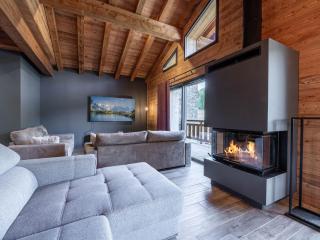 Magnifique chalet proche centre avec jardin, parking et Wi-Fi - FR-1-754-95 - 1