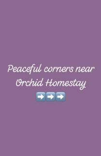 Orchid Home Stay - 8