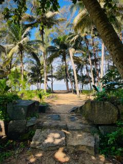 Orchid Home Stay - 5