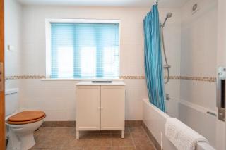 Kingfisher, Walberswick - 3