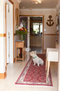 Anchor Lodge Guesthouse - 1