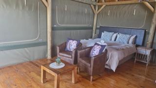Harmony Luxury Tents & Safari - 4