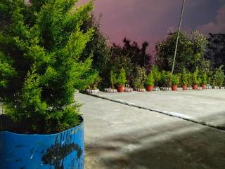 Bhanumati Homestay Chaukori - 6