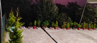 Bhanumati Homestay Chaukori - 3