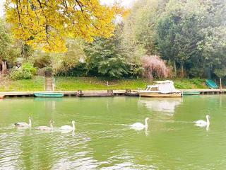 Charming riverside Independent Cottage with garden near Paris and Disneyland - 3