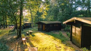Waldhaus Molzen - Natur erleben - Uelzen - 6