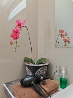Lush Tropical Villa Central Amed - 2