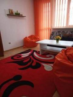 Apartament Central - Piatra Neamţ - 3